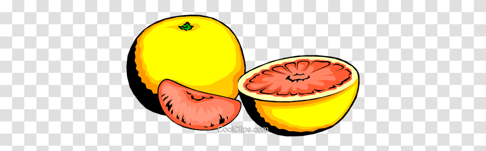 Grapefruit And Slices Royalty Free Vector Clip Art Illustration, Plant, Food, Melon, Helmet Transparent Png