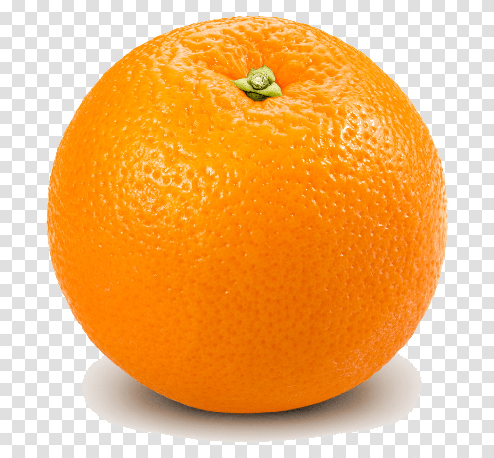 Grapefruit Bitter Orange Lemon Orange, Citrus Fruit, Plant, Food, Produce Transparent Png