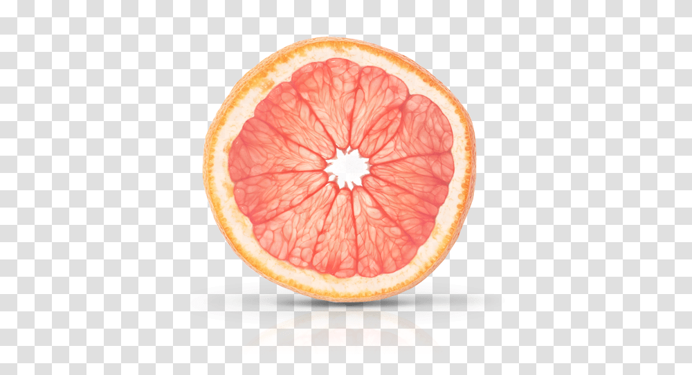 Grapefruit, Citrus Fruit, Produce, Food, Plant Transparent Png