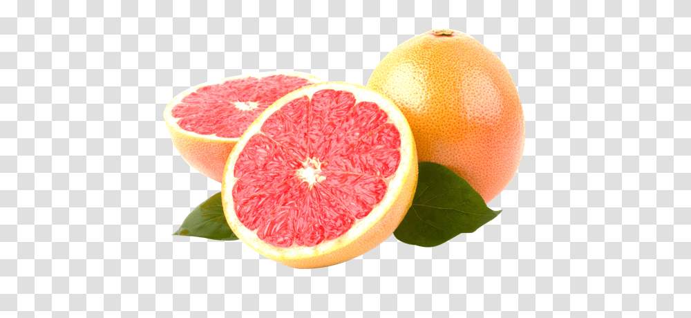 Grapefruit, Citrus Fruit, Produce, Food, Plant Transparent Png