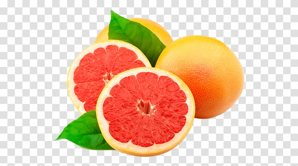 Grapefruit Free File Download Juice Head Pineapple Grapefruit, Citrus Fruit, Produce, Food, Plant Transparent Png