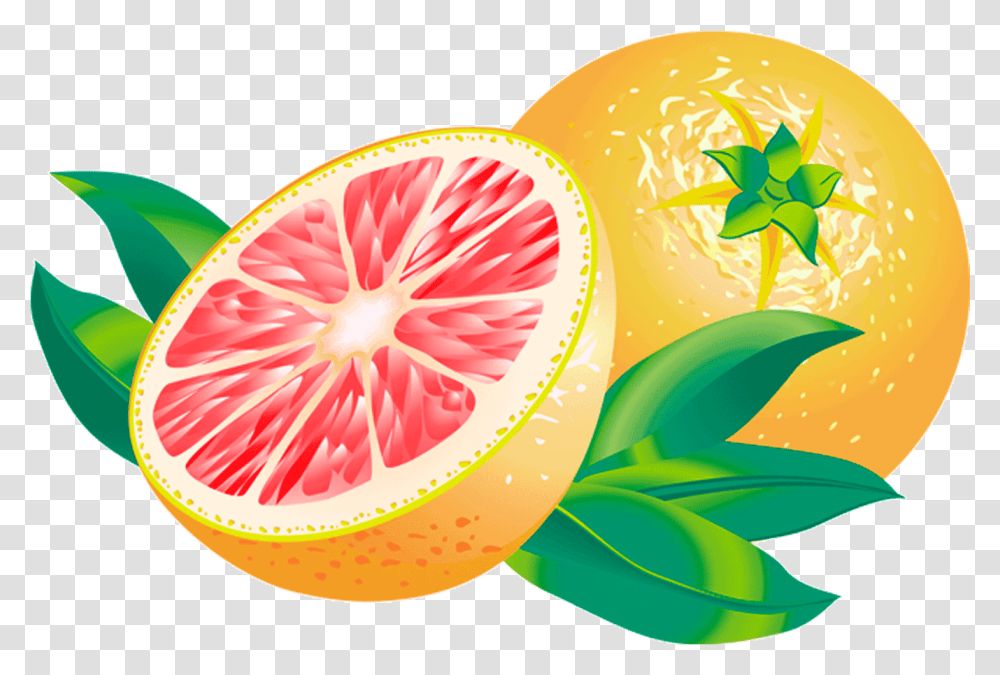 Grapefruit Grapefruit Fruit Clipart, Citrus Fruit, Plant, Food, Produce Transparent Png