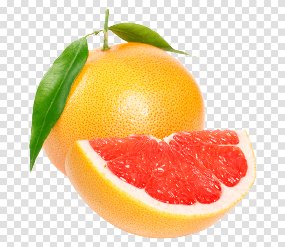 Grapefruit Grapefruit On Vine, Citrus Fruit, Plant, Food, Produce Transparent Png