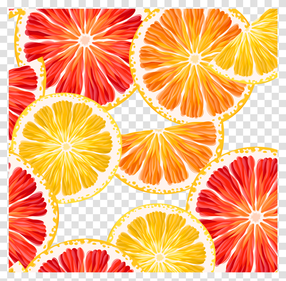 Grapefruit Lemon Clipart Orange Lemon Slice Vector Grapefruit Background, Citrus Fruit, Plant, Food, Produce Transparent Png