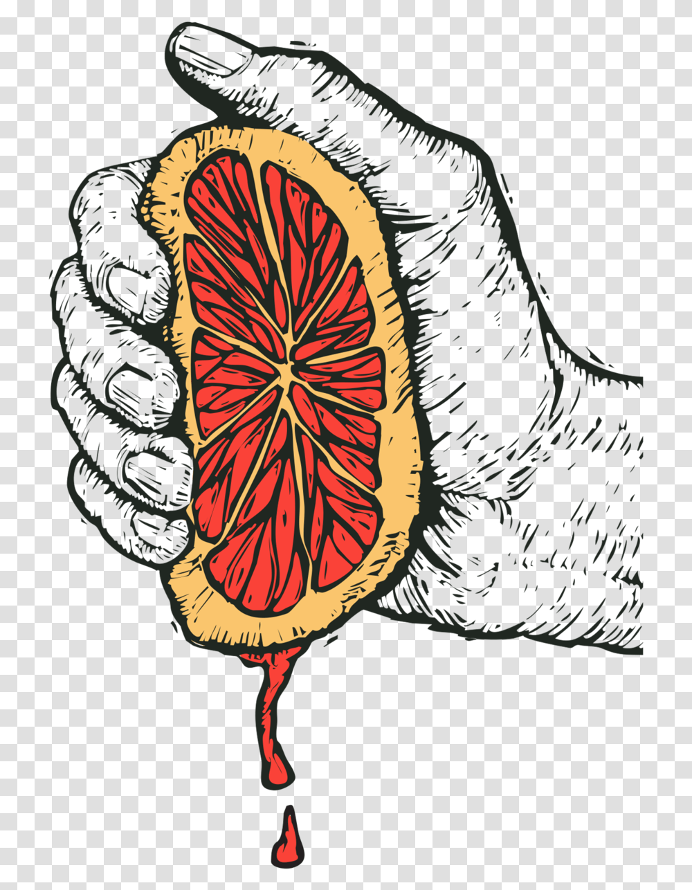 Grapefruit Shandy Citrus, Plant, Animal, Flower, Text Transparent Png