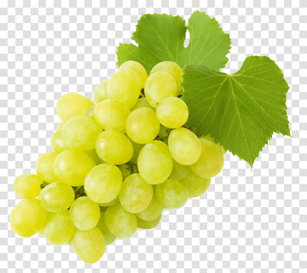 Grapepng Background, Plant, Grapes, Fruit, Food Transparent Png