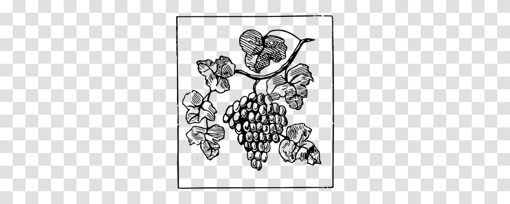 Grapes Nature, Gray, World Of Warcraft Transparent Png