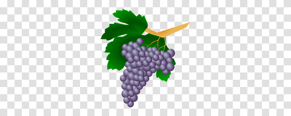 Grapes Nature, Fruit, Plant, Food Transparent Png