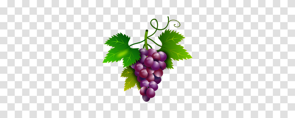 Grapes Nature, Plant, Fruit, Food Transparent Png