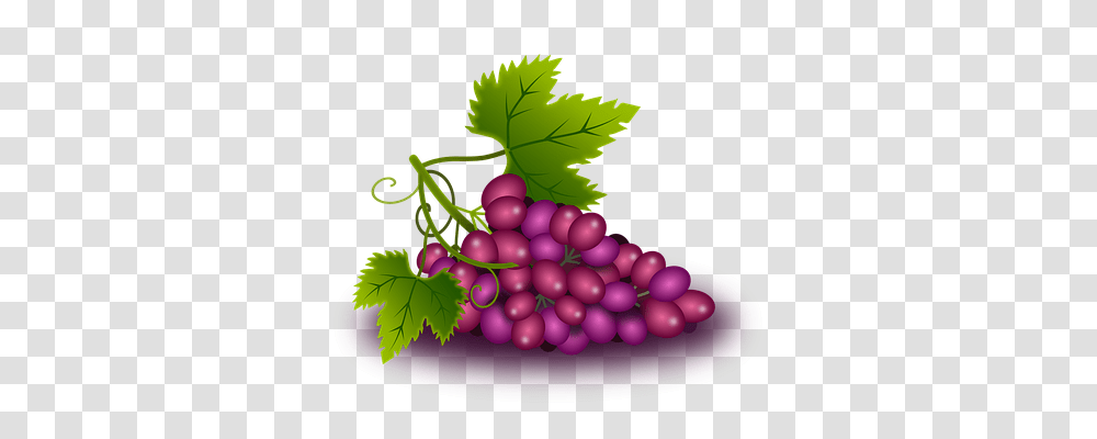 Grapes Nature, Fruit, Plant, Food Transparent Png