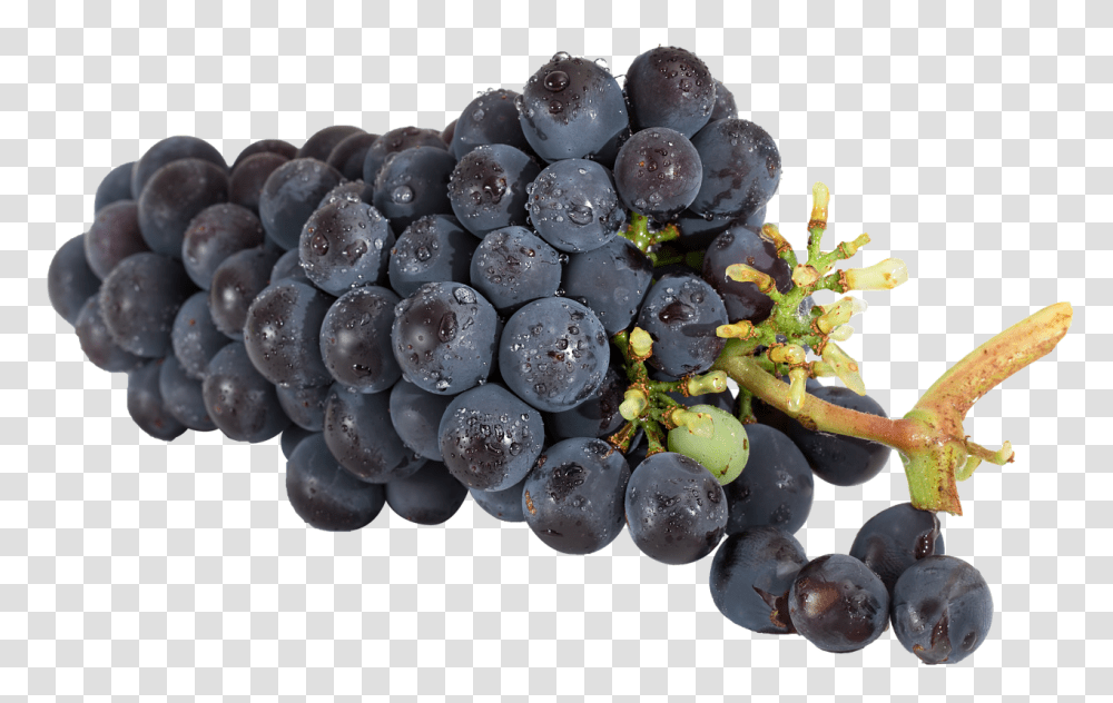 Grapes Food, Plant, Fruit, Fungus Transparent Png
