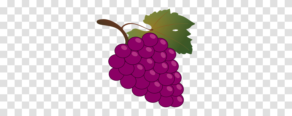 Grapes Food, Plant, Fruit, Purple Transparent Png