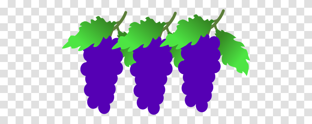 Grapes Nature, Plot Transparent Png