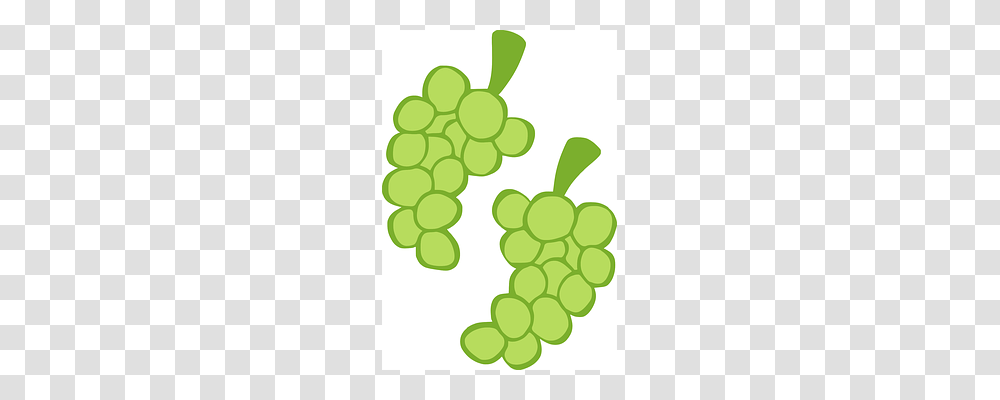 Grapes Fruit, Plant, Food, Green Transparent Png