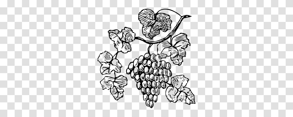 Grapes Food, Gray, World Of Warcraft Transparent Png