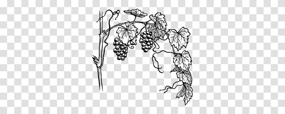 Grapes Nature, Gray, World Of Warcraft Transparent Png