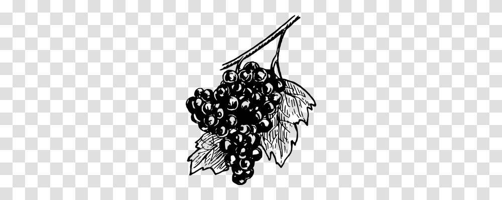Grapes Nature, Gray, World Of Warcraft Transparent Png