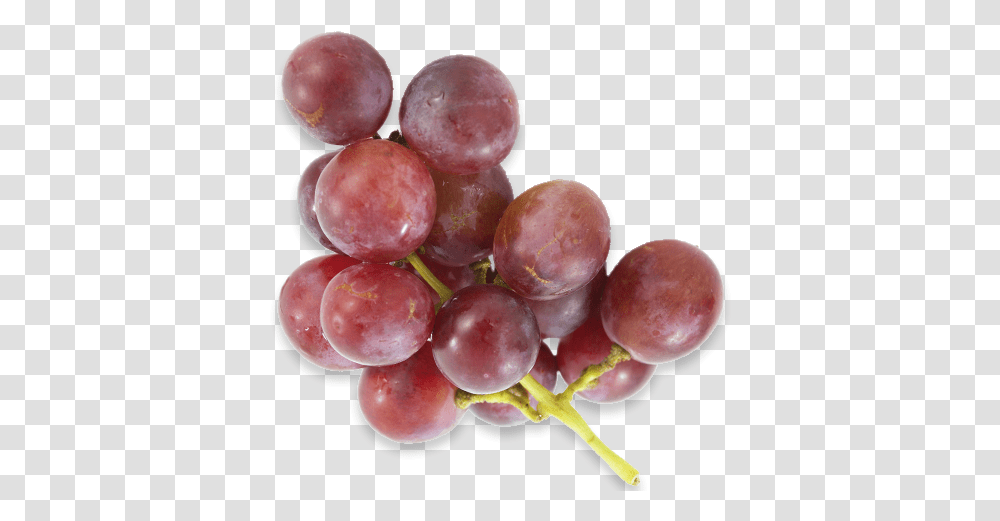 Grapes Americas Breakroom Pieces Of Grapes, Plant, Fruit, Food Transparent Png