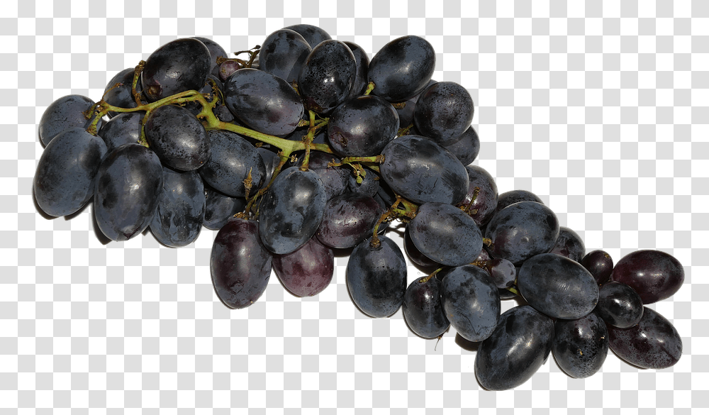 Grapes Blue Fruit Fruits Eat Food Delicious Grapes Fruits, Plant, Blueberry Transparent Png