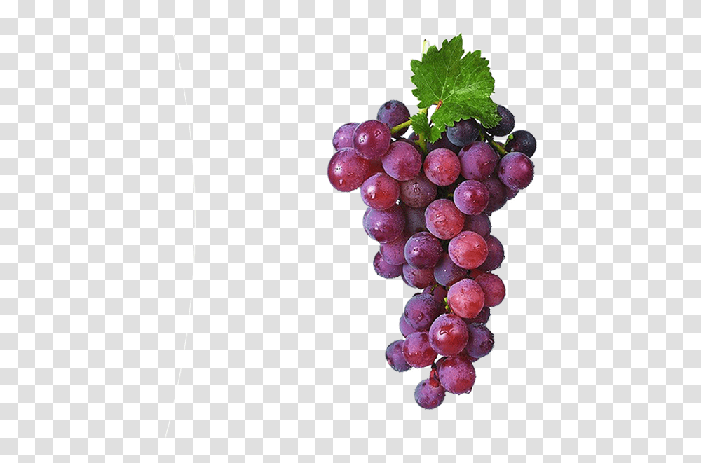 Grapes Bunch, Plant, Fruit, Food Transparent Png