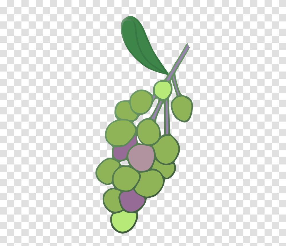 Grapes Clip Art Download, Plant, Fruit, Food Transparent Png