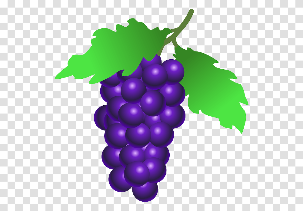 Grapes Clip Art, Fruit, Plant, Food, Balloon Transparent Png