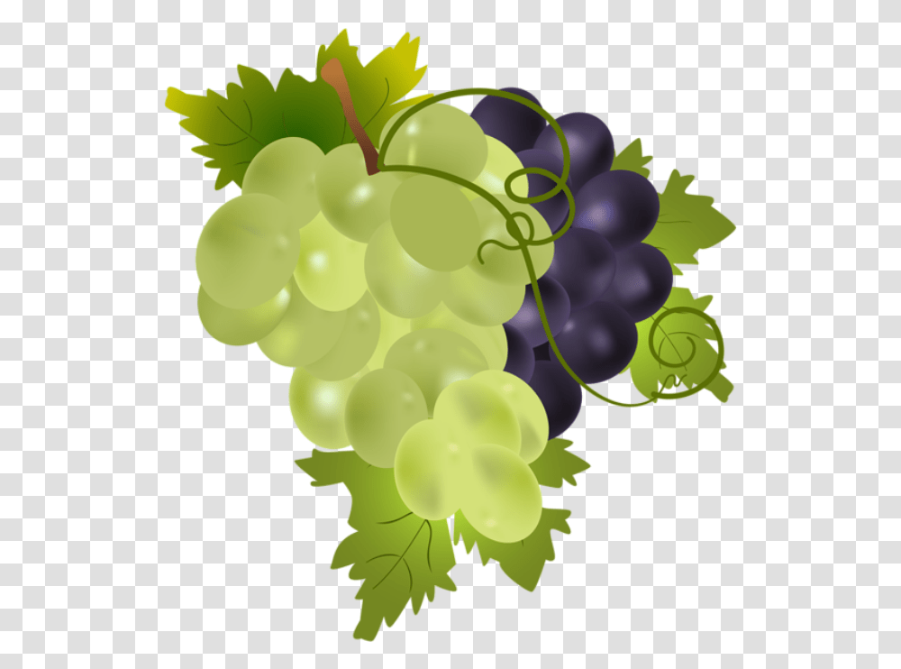 Grapes Clip Art, Fruit, Plant, Food Transparent Png