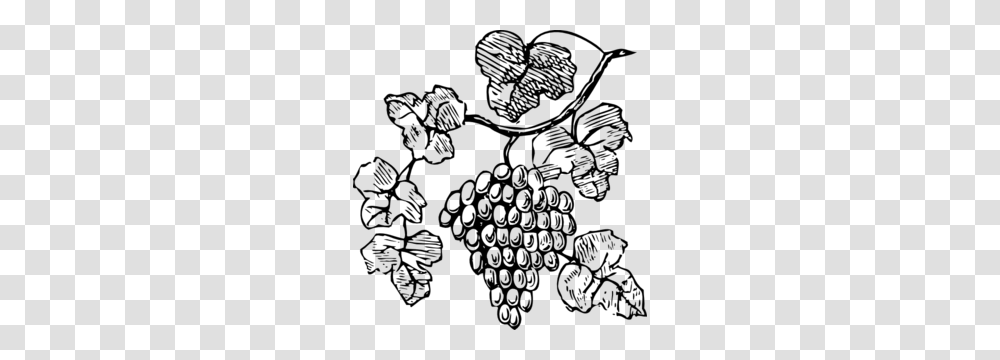 Grapes Clip Art, Gray, World Of Warcraft Transparent Png