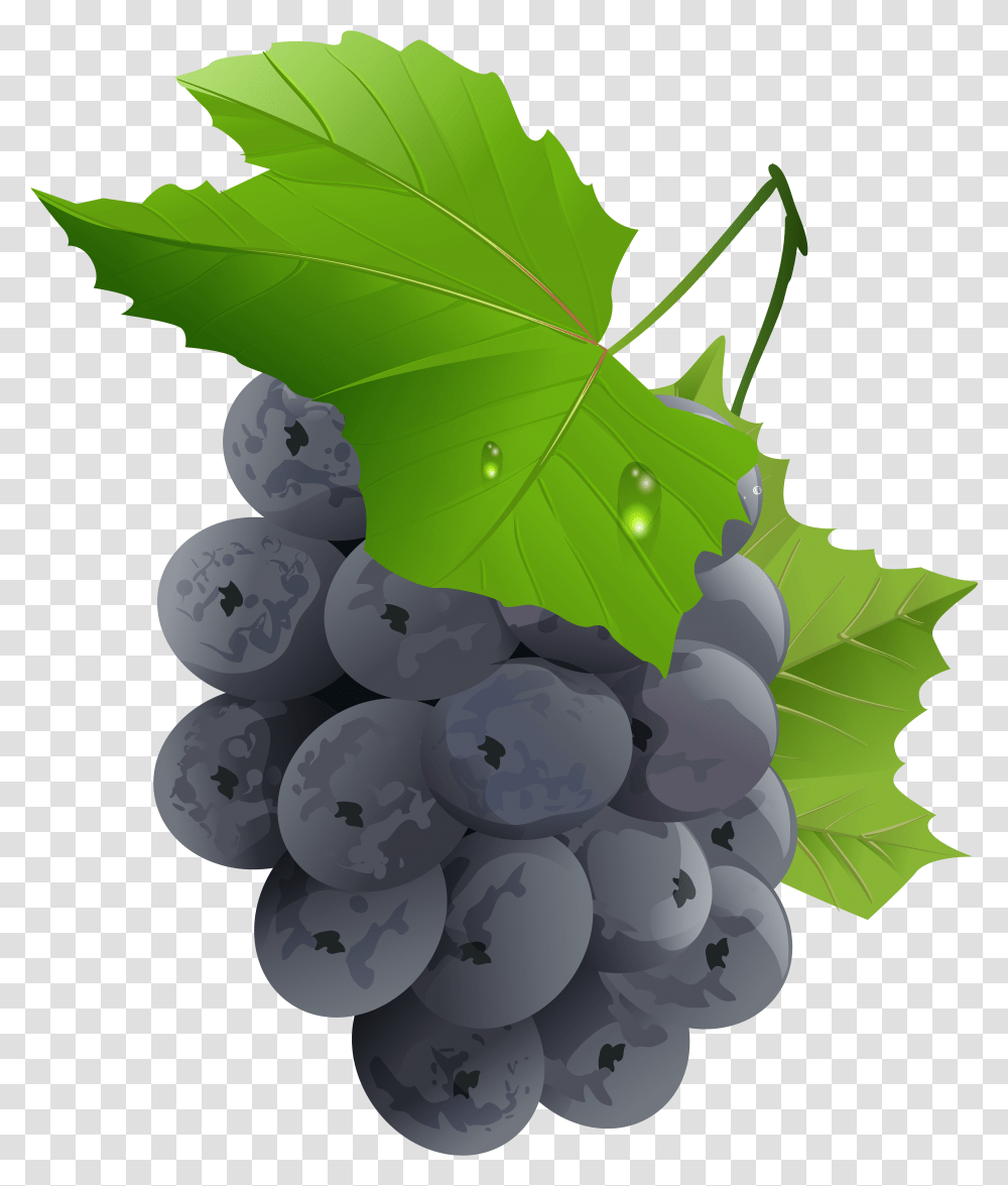 Grapes Clip Art Image Gallery Transparent Png