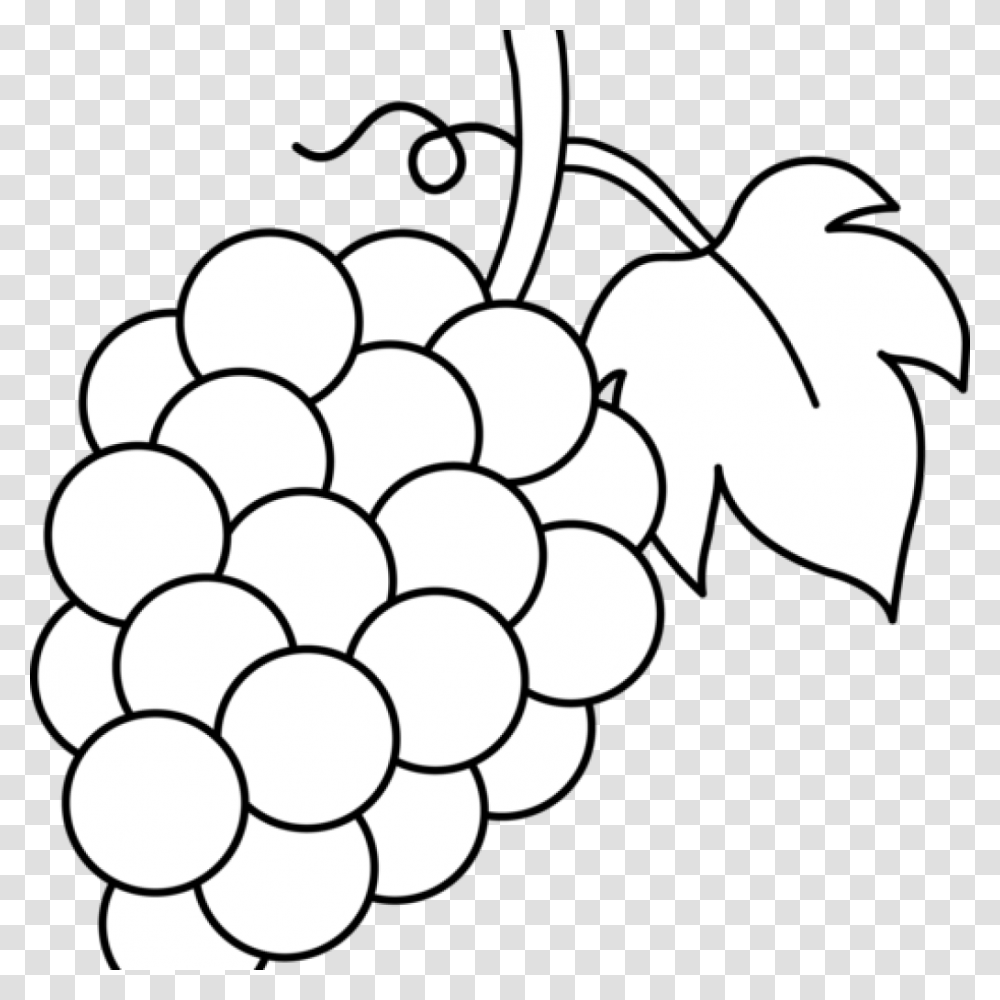 Grapes Clipart Black And White Lineart Free Clip Art Download, Fruit, Plant, Food, Painting Transparent Png