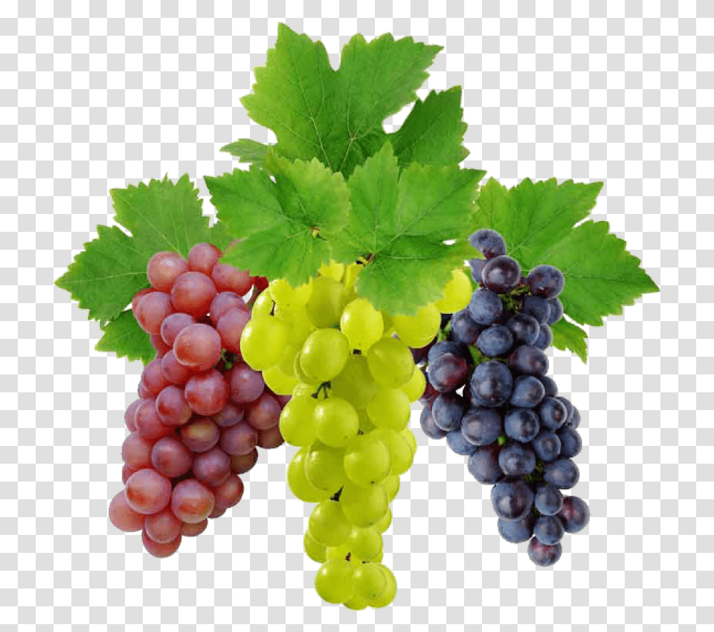 Grapes Clipart Clear Background Background Grapes, Plant, Fruit, Food Transparent Png