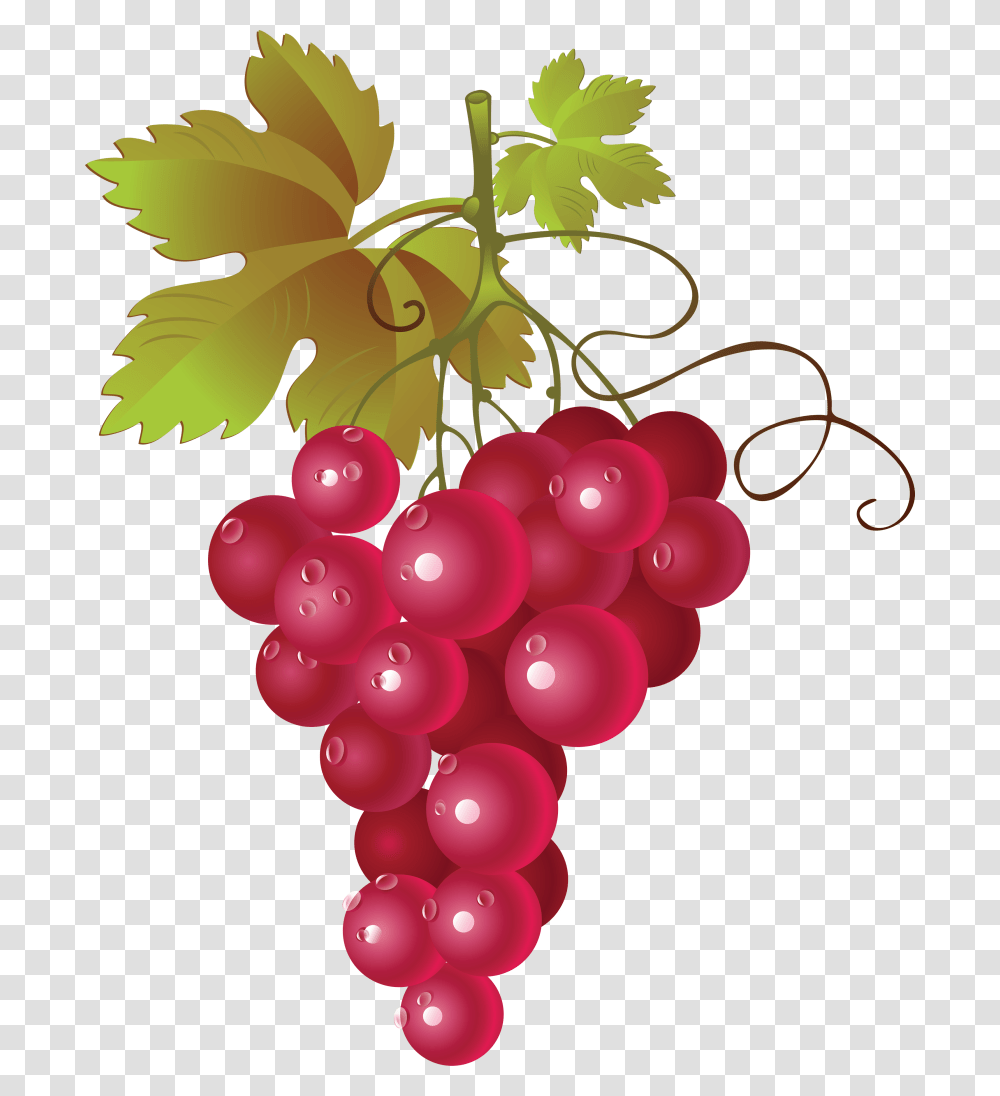 Grapes Clipart Food, Plant, Fruit, Balloon Transparent Png