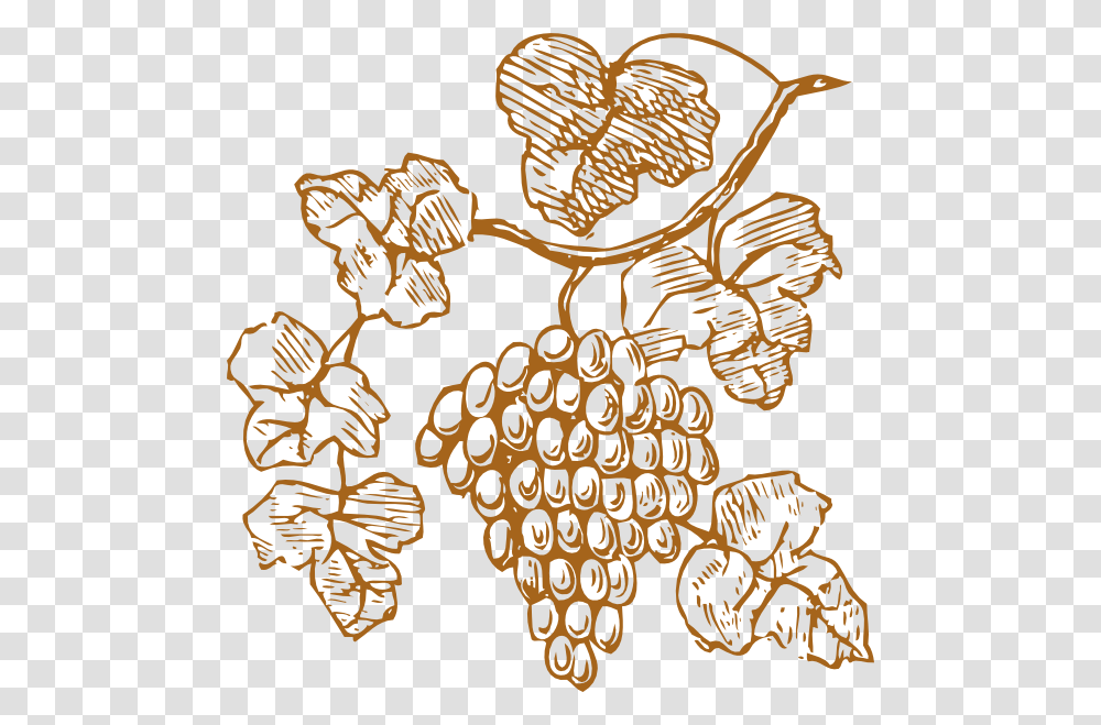 Grapes Clipart Grapes Clipart, Plant, Food, Doodle, Drawing Transparent Png