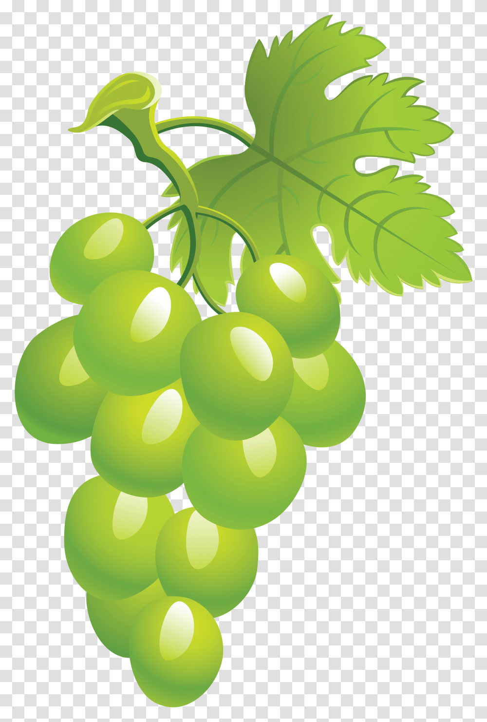 Grapes Clipart Green Grape Picture Image Sultana, Plant, Fruit, Food, Balloon Transparent Png