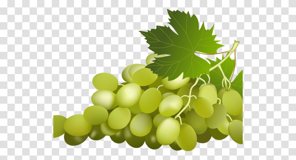 Grapes Clipart Name, Plant, Fruit, Food, Leaf Transparent Png