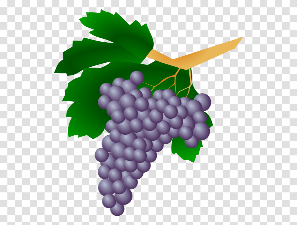 Grapes Clipart, Plant, Fruit, Food Transparent Png