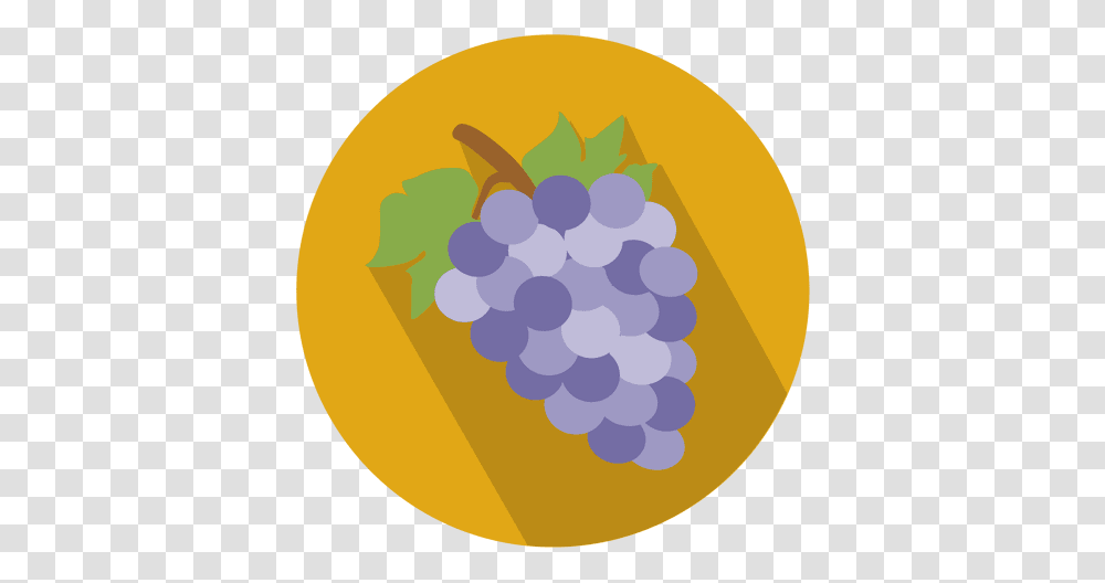 Grapes Flat Circle Icon Grape Icon Circle, Plant, Fruit, Food, Rug Transparent Png