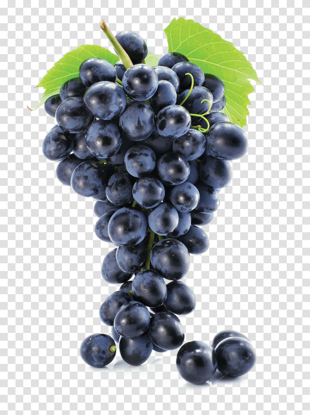 Grapes Free Grapes, Plant, Fruit, Food, Blueberry Transparent Png