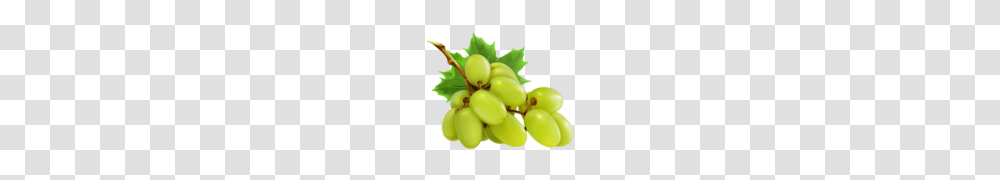 Grapes, Fruit, Plant, Food Transparent Png