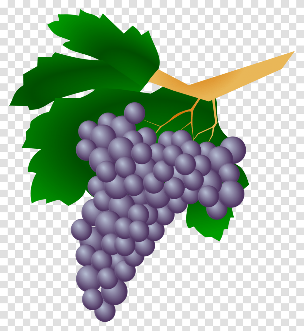 Grapes, Fruit, Plant, Food Transparent Png