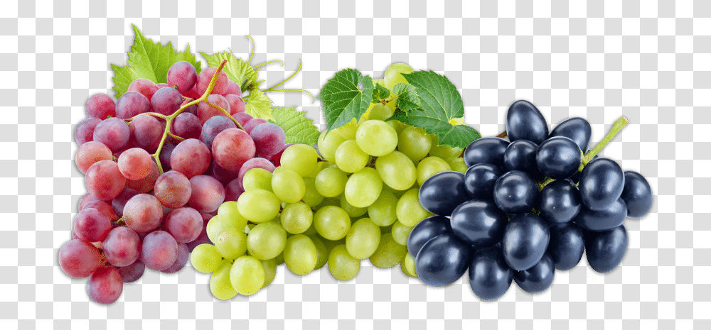 Grapes Fruit, Plant, Food Transparent Png