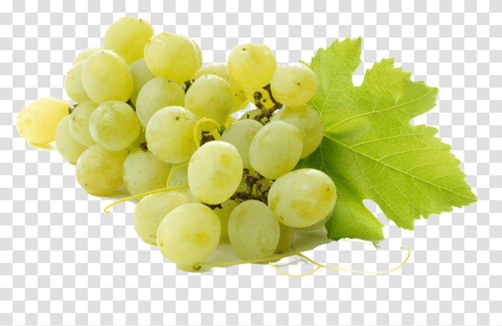 Grapes Fruit With Name, Plant, Food, Egg Transparent Png