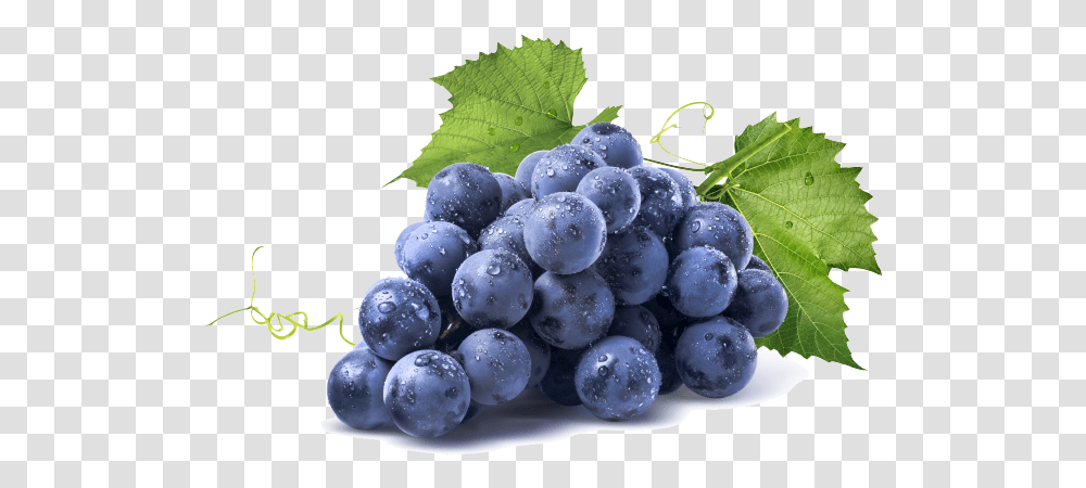 Grapes Grape, Plant, Fruit, Food, Blueberry Transparent Png