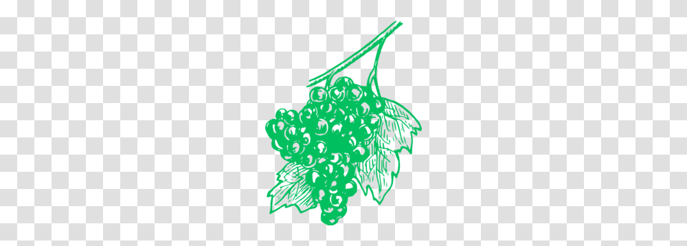 Grapes Green Clip Art, Plant, Tree, Leaf, Ornament Transparent Png