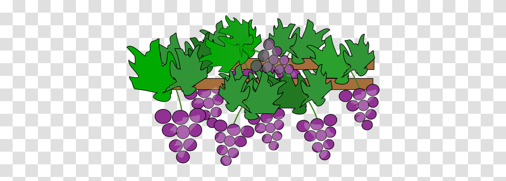 Grapes Growing, Plant, Purple Transparent Png