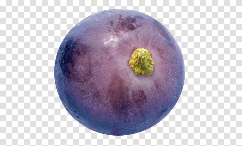 Grapes Hd Quality Single Purple Grape, Moon, Outer Space, Night, Astronomy Transparent Png