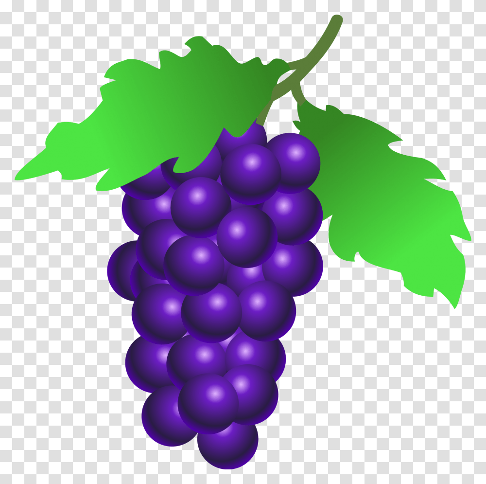 Grapes Icon, Fruit, Plant, Food, Balloon Transparent Png