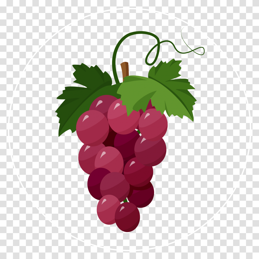 Grapes Icon Grapes Illustration, Fruit, Plant, Food Transparent Png