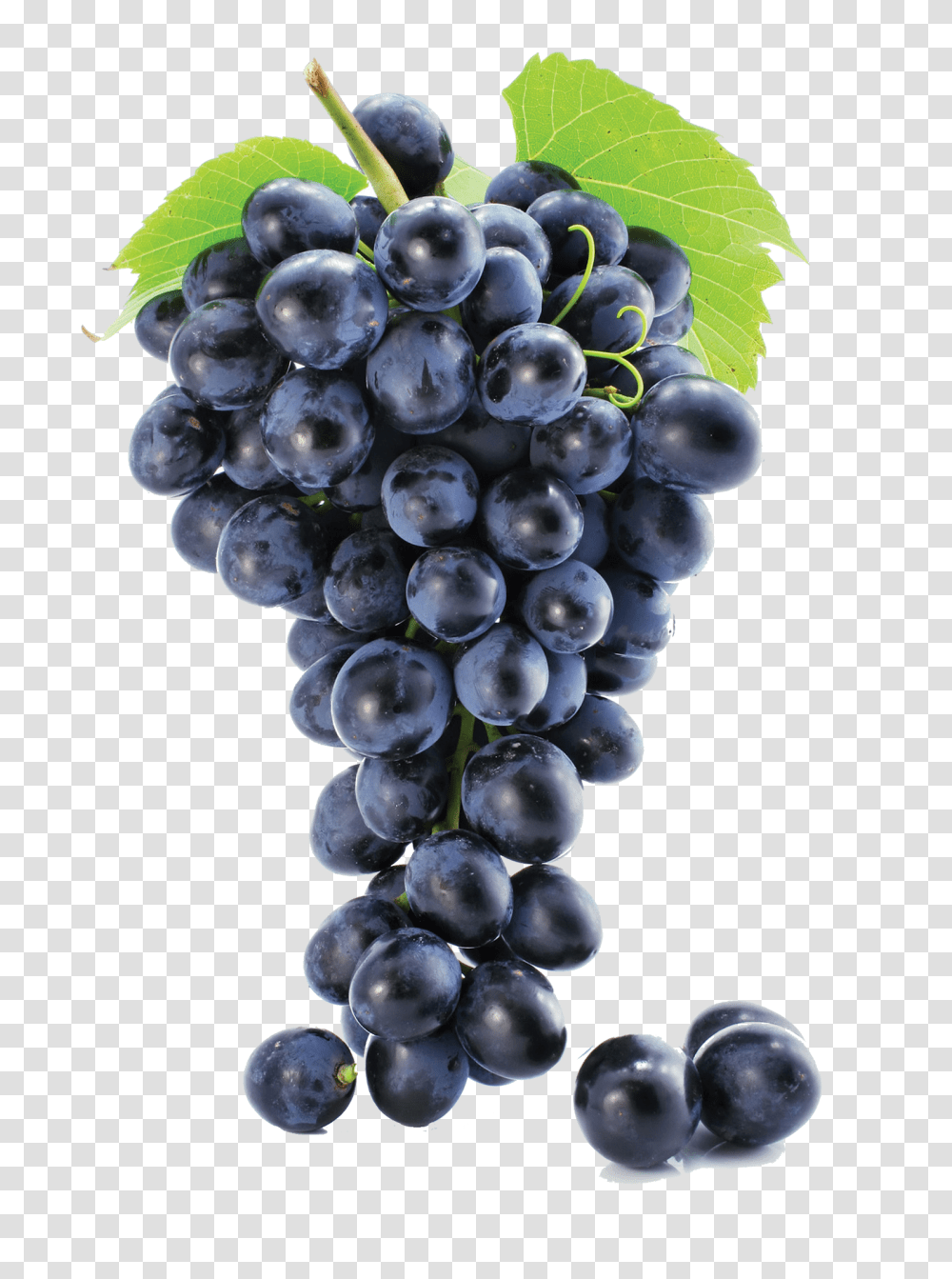 Grapes Image Grape, Plant, Fruit, Food, Blueberry Transparent Png