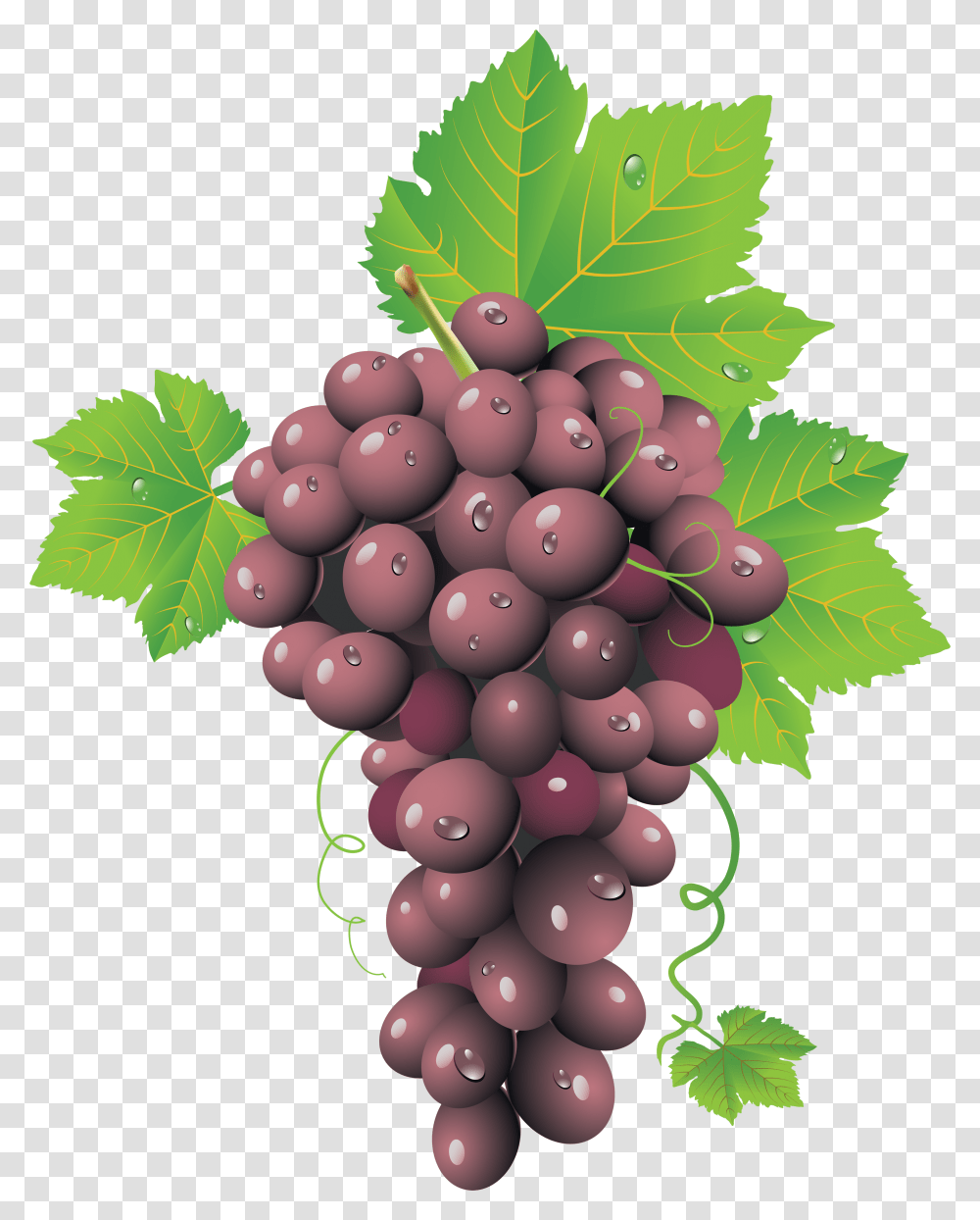 Grapes Image Grape Seed, Plant, Fruit, Food, Balloon Transparent Png